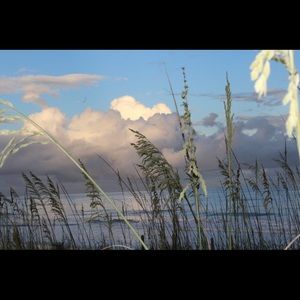 Meet your Posher, Stacey